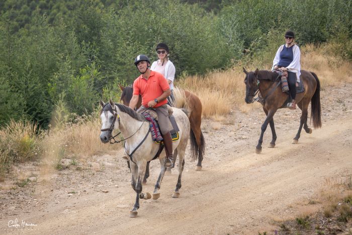 Komfort Trail in der Serra d`Arga