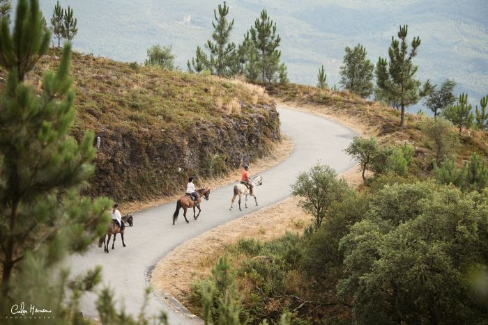 Komfort Trail in der Serra d`Arga