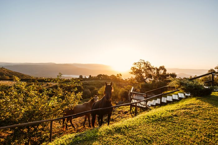 Komfort Trail in der Serra d`Arga