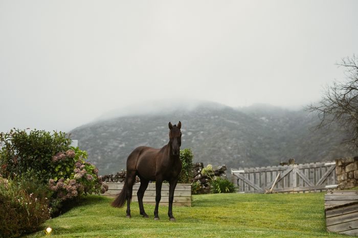 Komfort Trail in der Serra d`Arga