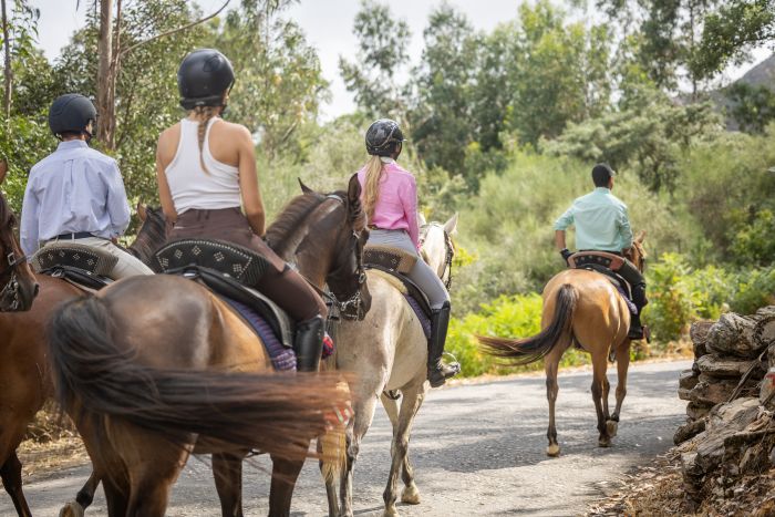 Komfort Trail in der Serra d`Arga
