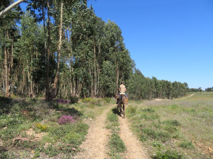 Im Land der Lusitanos, 7 Tage Trail<br />Magie des Alentejo, 6 Tage Trail