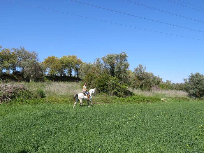 Im Land der Lusitanos, 7 Tage Trail<br />Magie des Alentejo, 6 Tage Trail