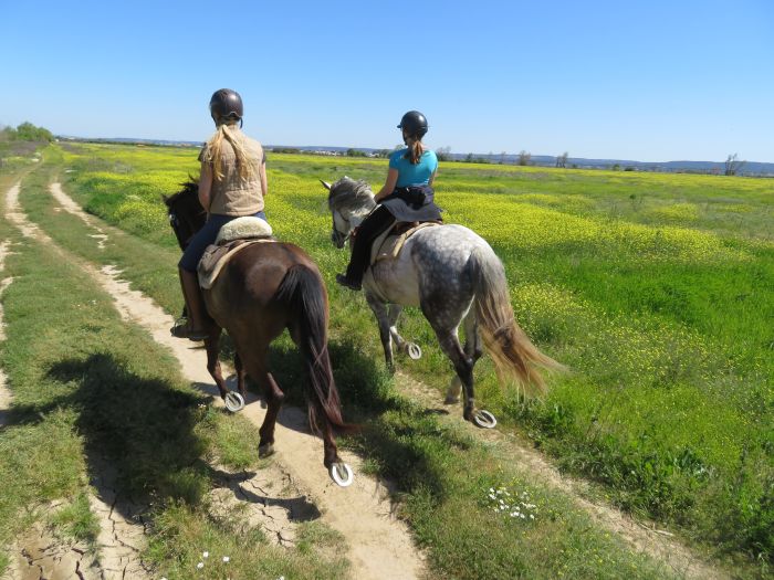 Im Land der Lusitanos, 7 Tage Trail<br />Magie des Alentejo, 6 Tage Trail