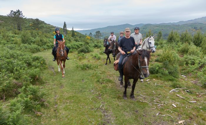 Wildpferde Abenteuertrail