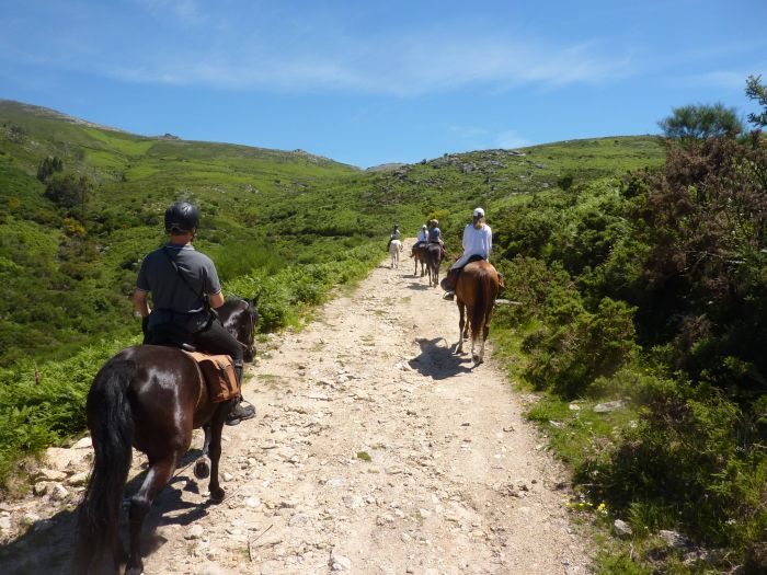 Wildpferde Abenteuertrail