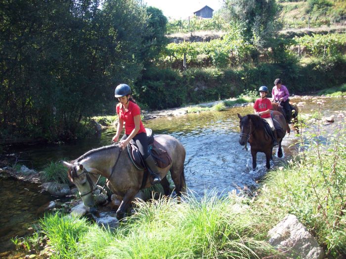 Wildpferde Abenteuertrail