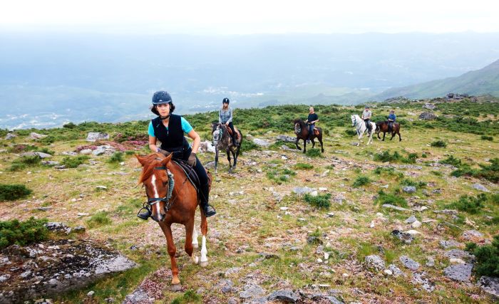 Wildpferde Abenteuertrail