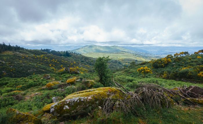 Wildpferde Abenteuertrail