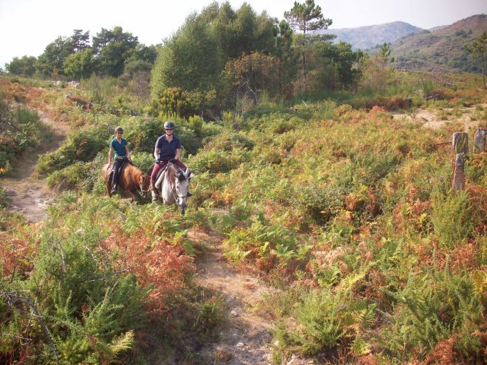 Wildpferde Abenteuertrail