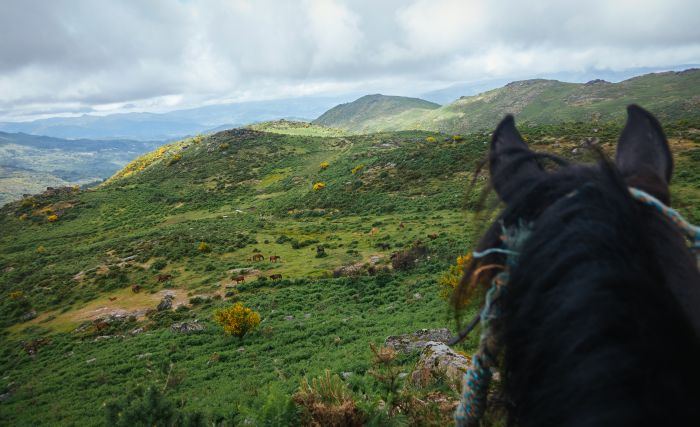 Wildpferde Abenteuertrail