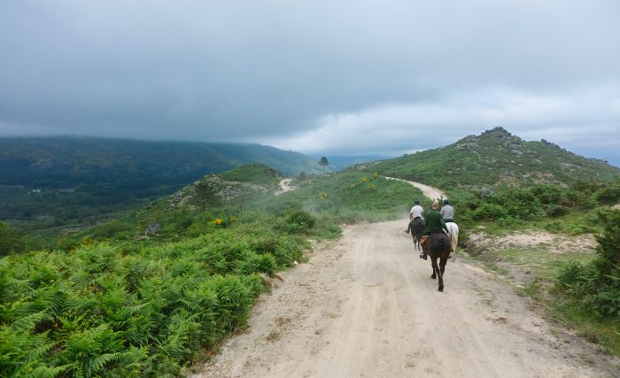 Wildpferde Abenteuertrail