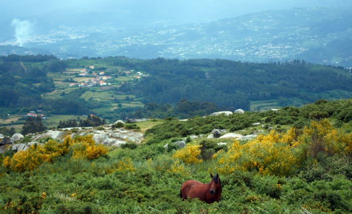 Wildpferde Abenteuertrail