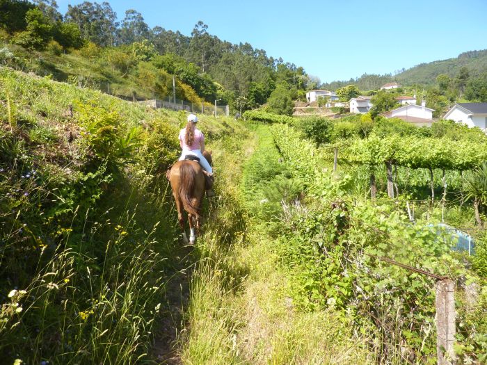 Wildpferde Abenteuertrail