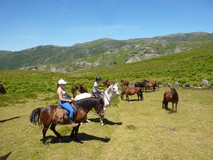 Wildpferde Abenteuertrail