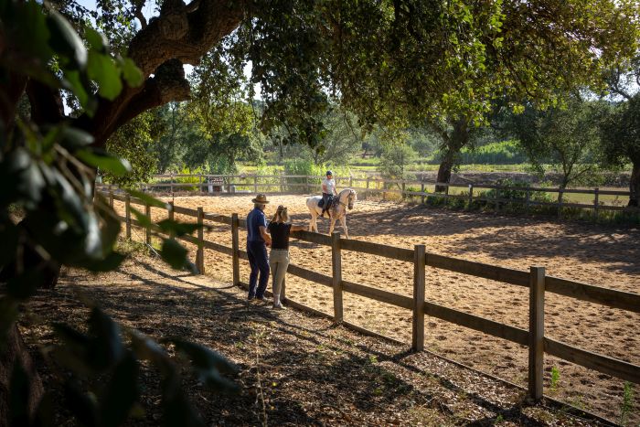 Dressur & Working Equitation auf Lusitanos