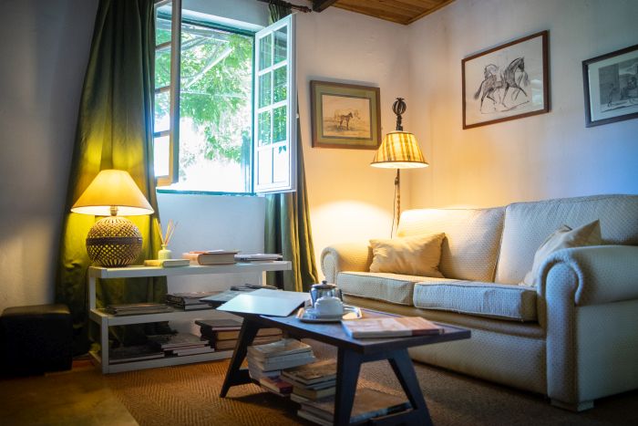 Dressur & Working Equitation auf Lusitanos