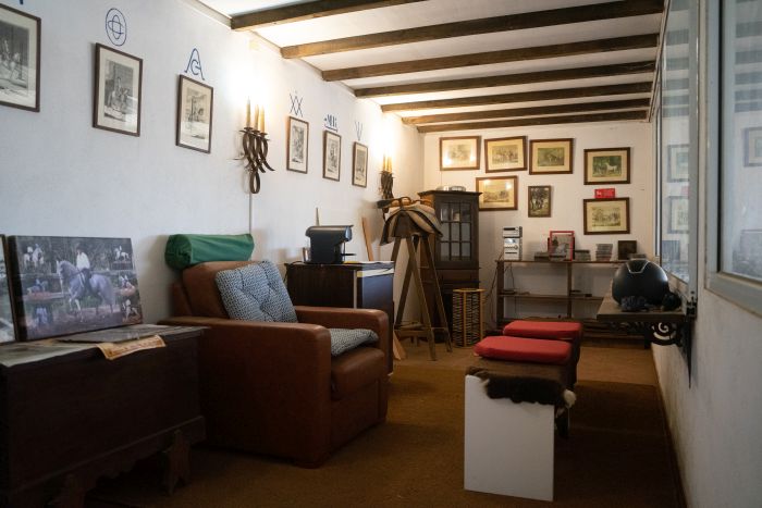 Dressur & Working Equitation auf Lusitanos