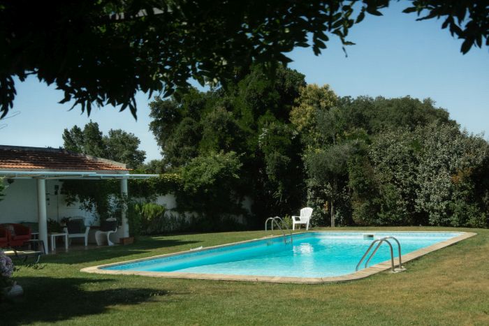 Dressur & Working Equitation auf Lusitanos