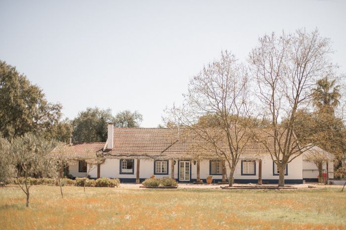 Dressur & Working Equitation auf Lusitanos