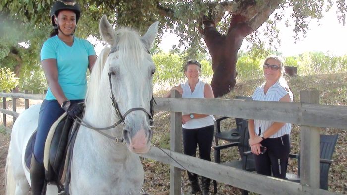 Dressur & Working Equitation auf Lusitanos