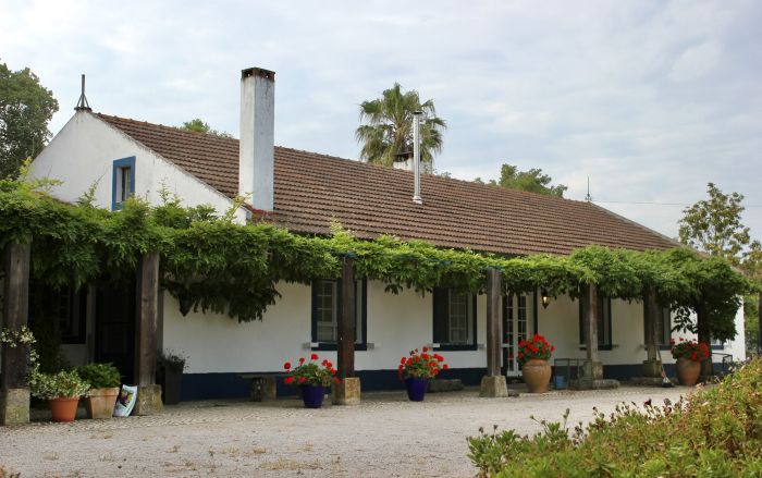 Dressur & Working Equitation auf Lusitanos