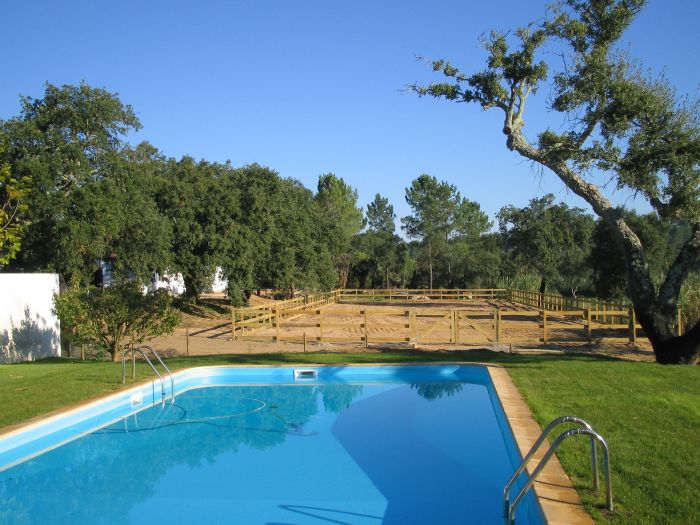 Dressur & Working Equitation auf Lusitanos