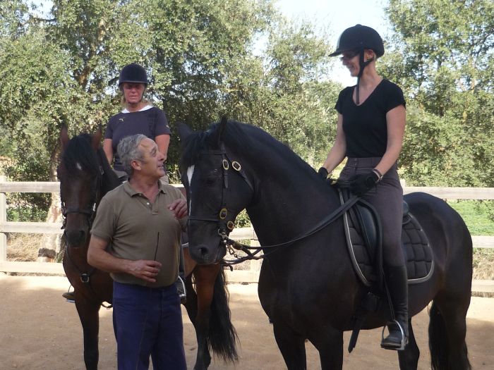 Dressur & Working Equitation auf Lusitanos