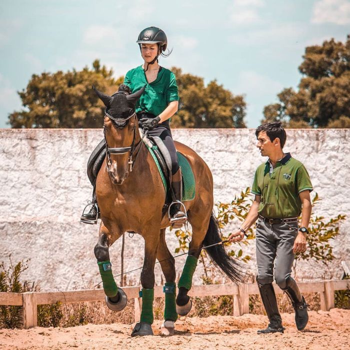 Dressur & Working Equitation auf Lusitanos