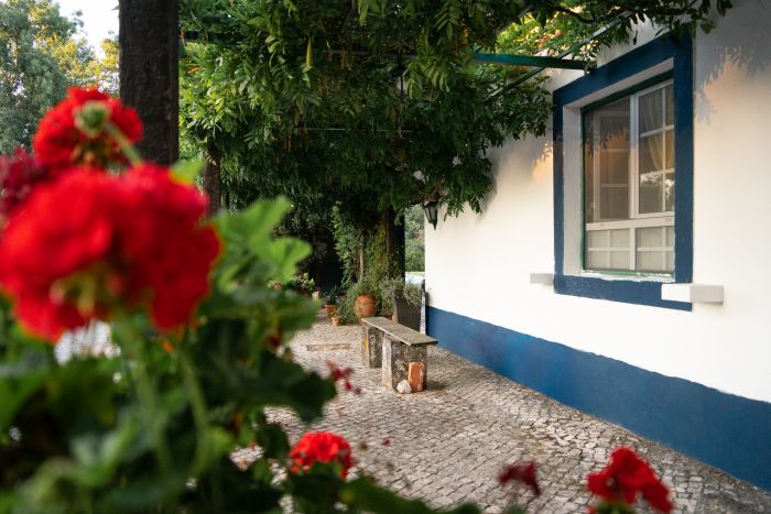 Dressur & Working Equitation auf Lusitanos