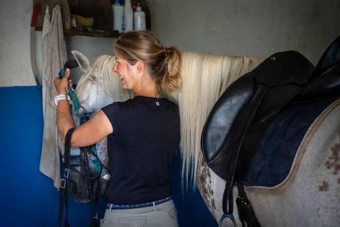 Dressur & Working Equitation auf Lusitanos