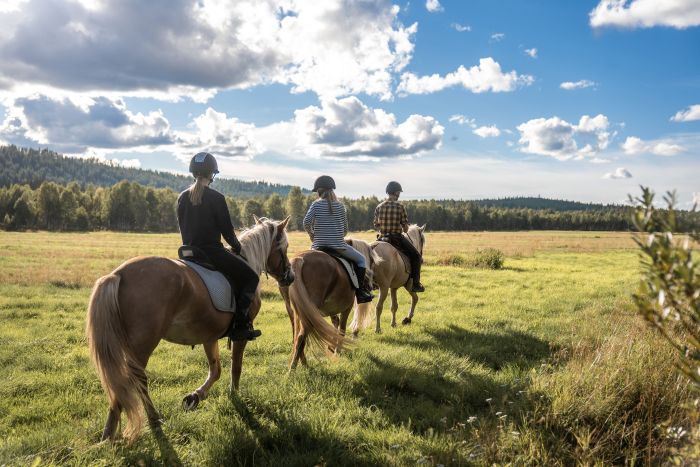 Wildes Lappland - Reiten & Bogenschiessen in Finnland