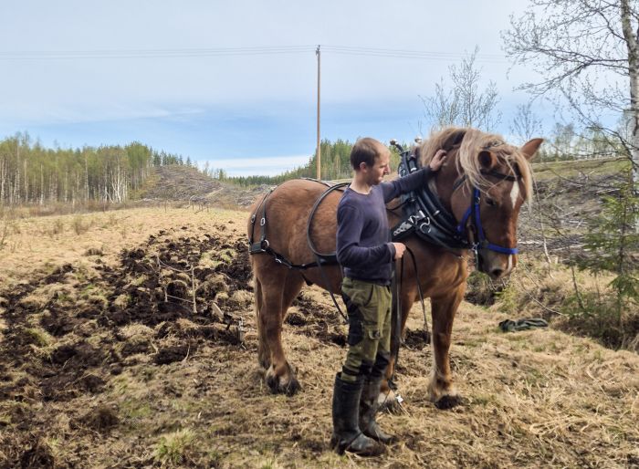 Wildes Lappland - Reiten & Bogenschiessen in Finnland