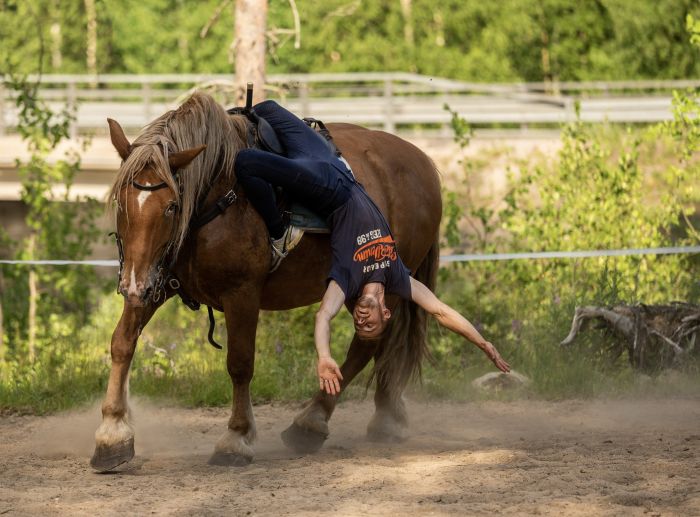 Wildes Lappland - Reiten & Bogenschiessen in Finnland