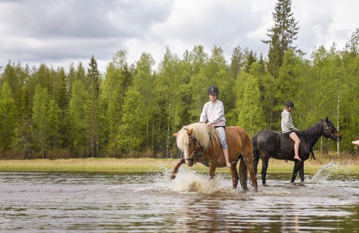 Wildes Lappland - Reiten & Bogenschiessen in Finnland
