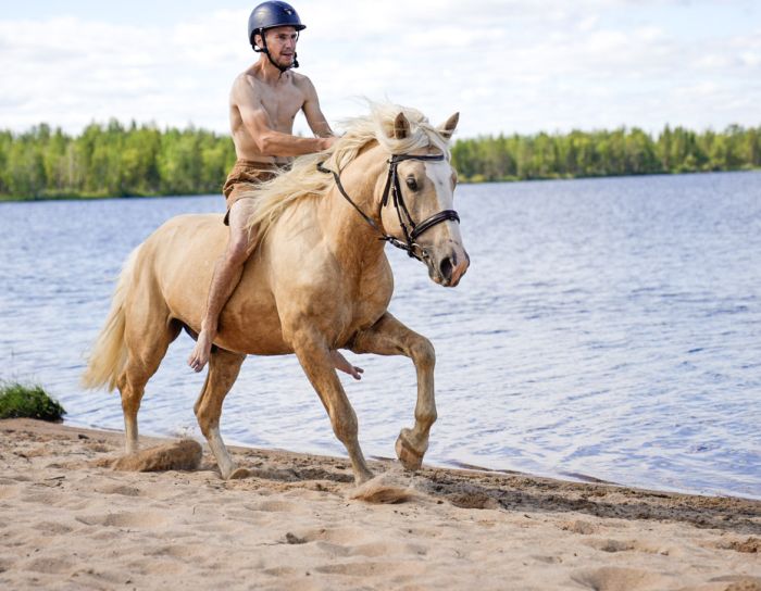 Wildes Lappland - Reiten & Bogenschiessen in Finnland