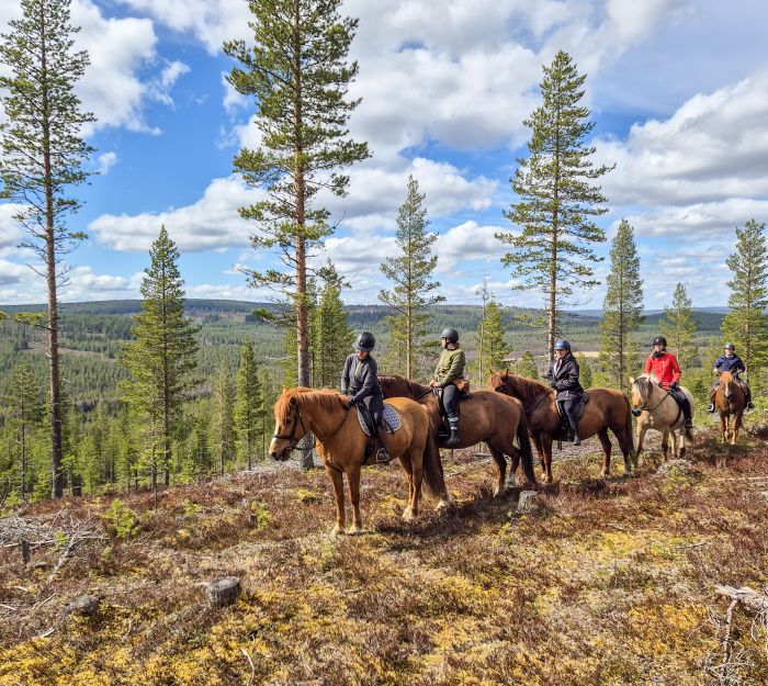 Wildes Lappland - Reiten & Bogenschiessen in Finnland