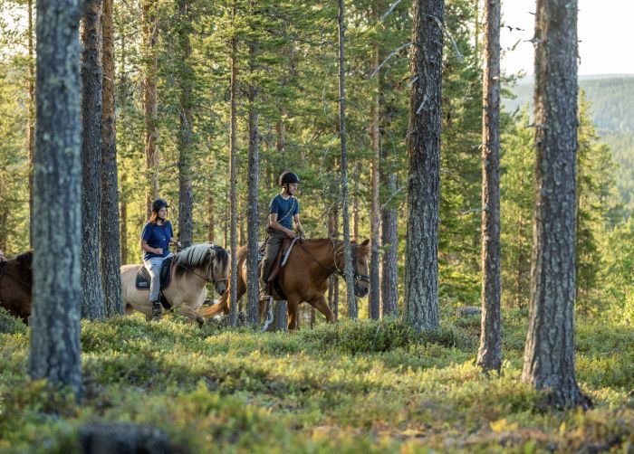 Wildes Lappland - Reiten & Bogenschiessen in Finnland