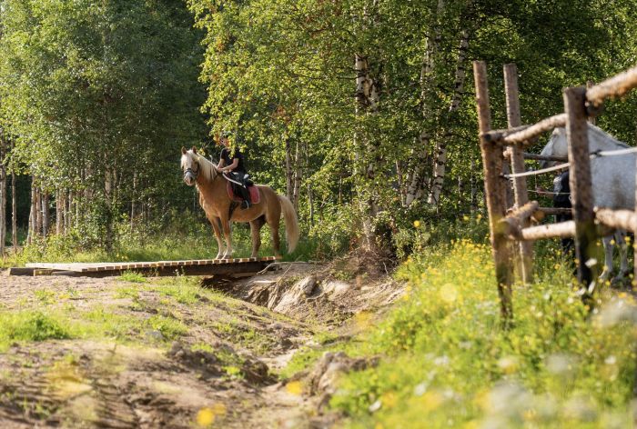 Wildes Lappland - Reiten & Bogenschiessen in Finnland