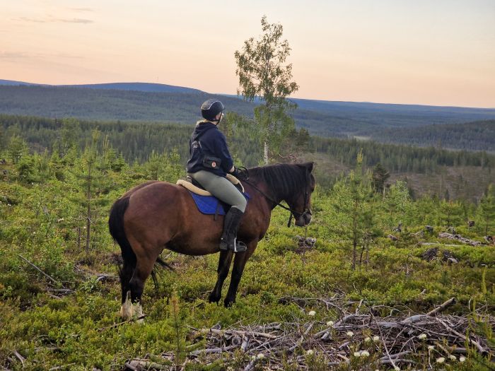 Wildes Lappland - Reiten & Bogenschiessen in Finnland