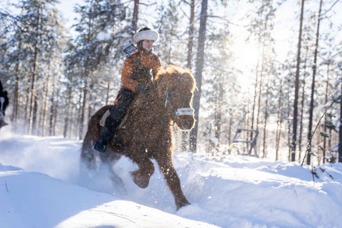 Wintertraum finnisch Lappland