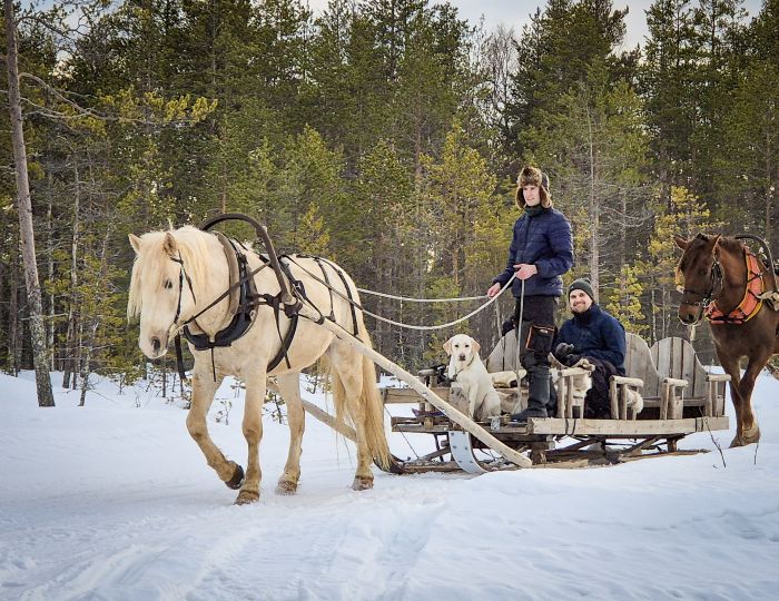 Wintertraum finnisch Lappland