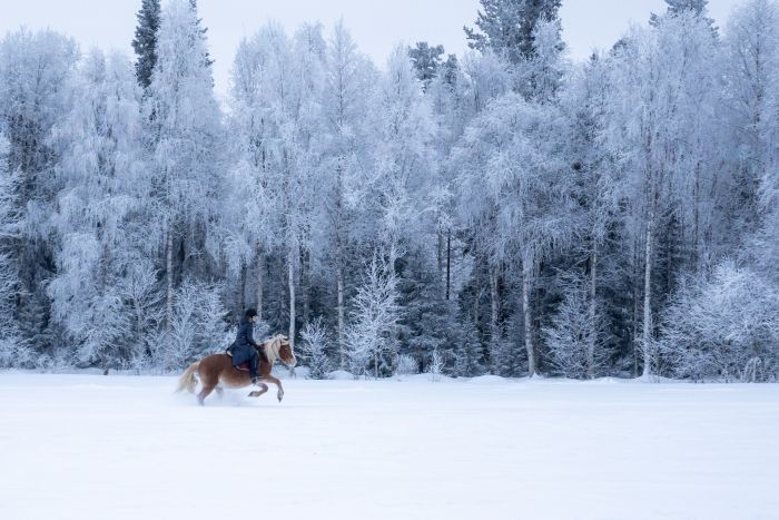 Wintertraum finnisch Lappland