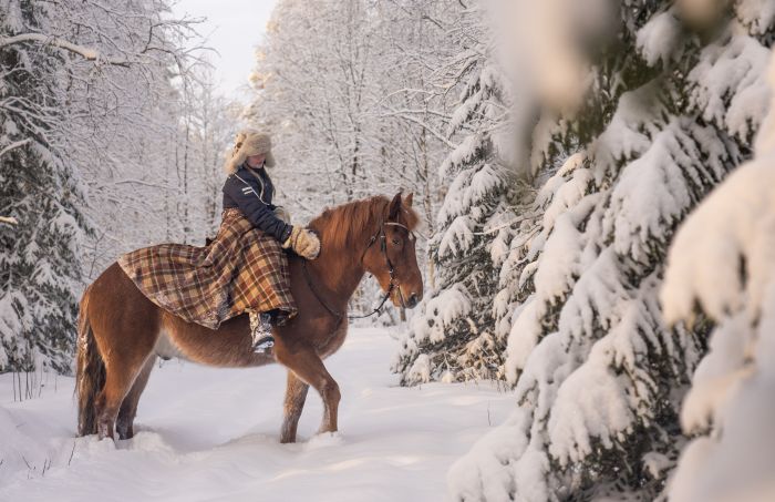 Wintertraum finnisch Lappland