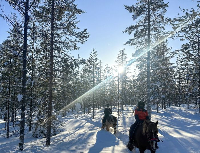 Wintertraum finnisch Lappland