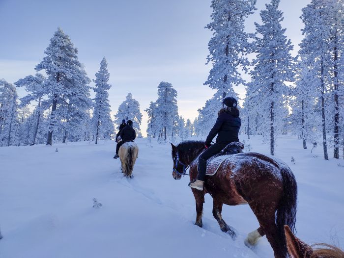 Wintertraum finnisch Lappland