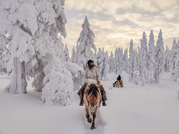 Wintertraum finnisch Lappland