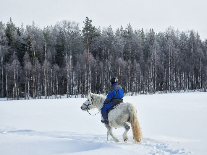 Wintertraum finnisch Lappland