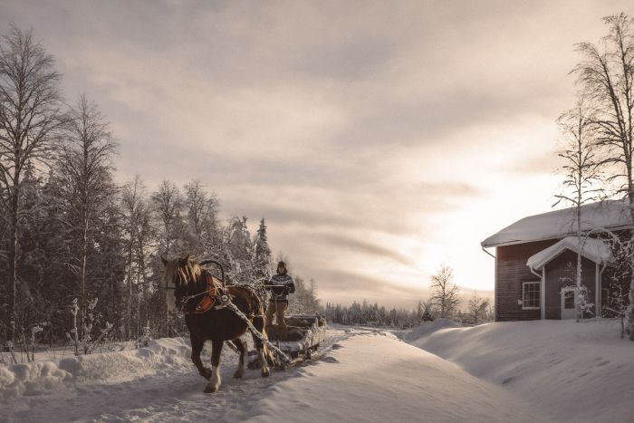 Wintertraum finnisch Lappland