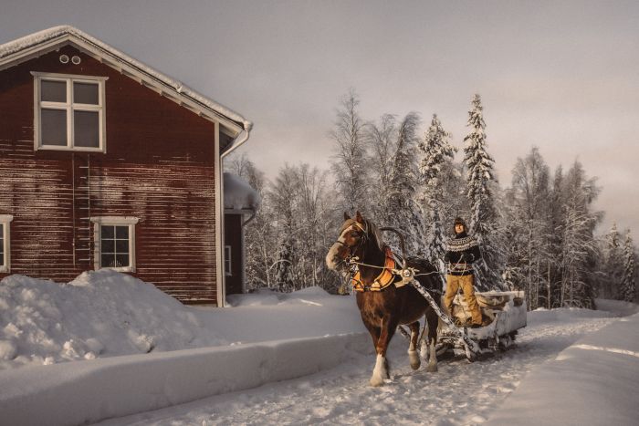 Wintertraum finnisch Lappland